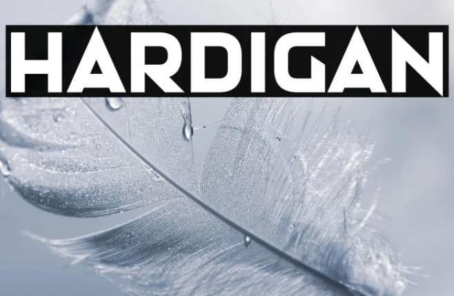 Hardigan Example 1