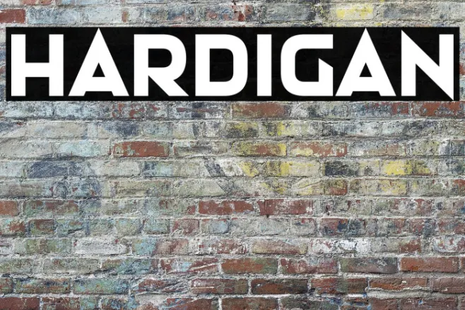 Hardigan Example 3