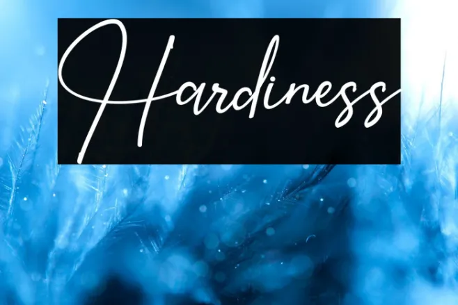 Hardiness Example 3