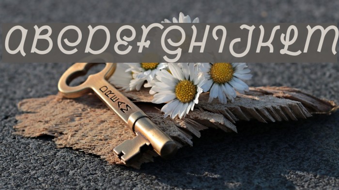 Hardino Font examples