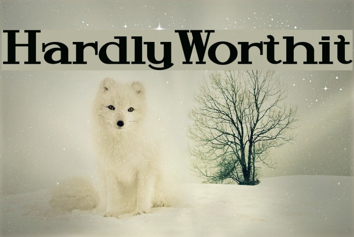 HardlyWorthit Caratteri examples