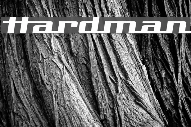 Hardman Font examples