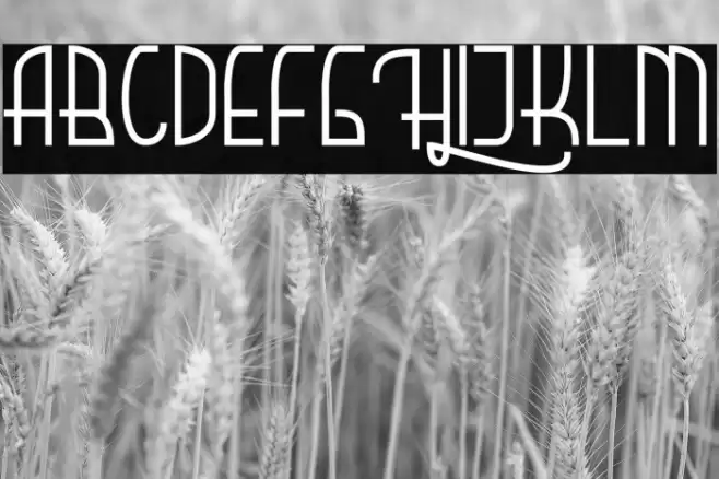 Hardolyn [Demo] Font examples