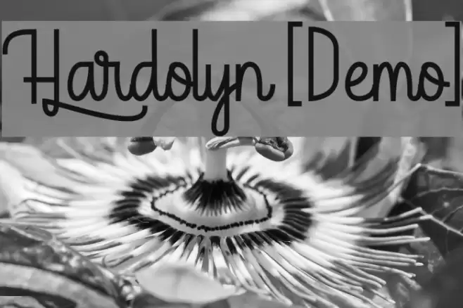 Hardolyn [Demo] Font examples