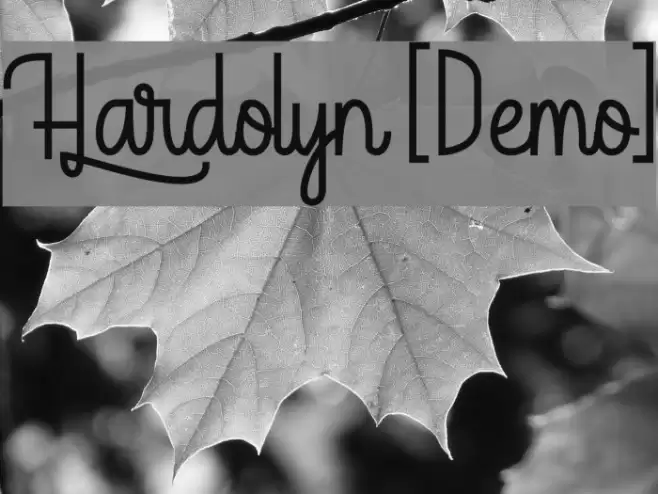 Hardolyn [Demo] Font examples