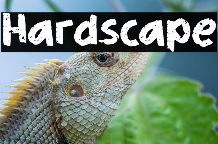 Hardscape Example 1