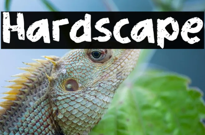 Hardscape Example 1