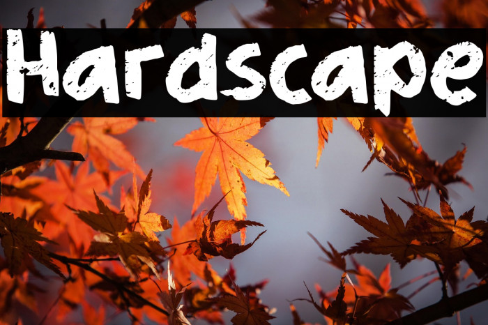 Hardscape Example 3