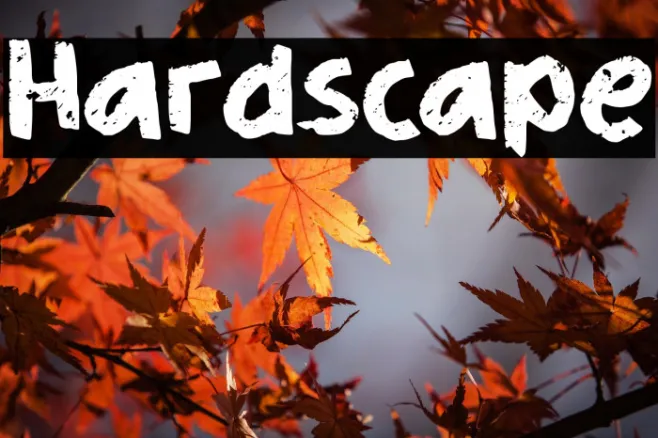 Hardscape Example 3