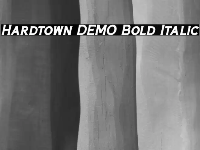 Hardtown DEMO Bold Italic Font examples