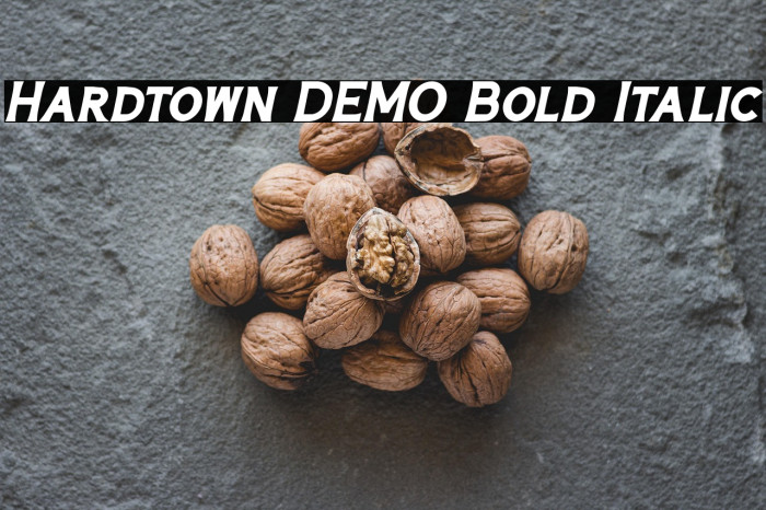 Hardtown DEMO Bold Italic Example 3