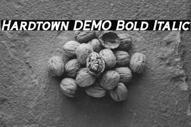 Hardtown DEMO Bold Italic Font examples