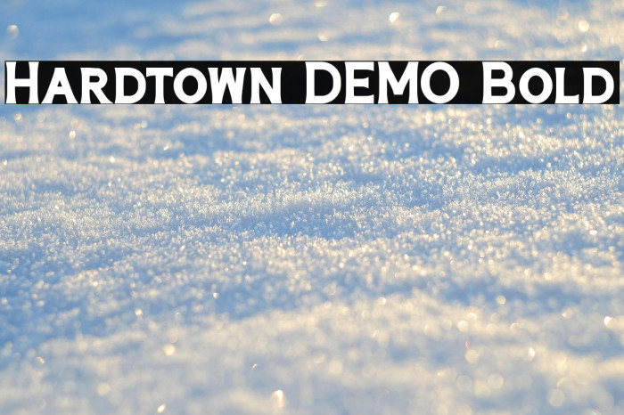 Hardtown DEMO Bold Example 2