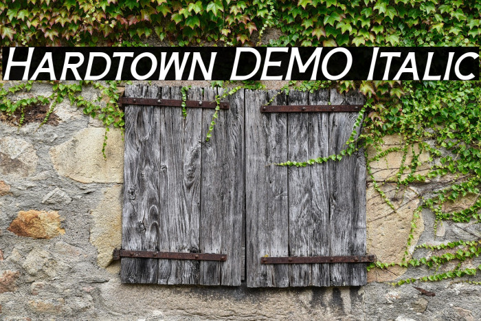 Hardtown DEMO Italic Example 2