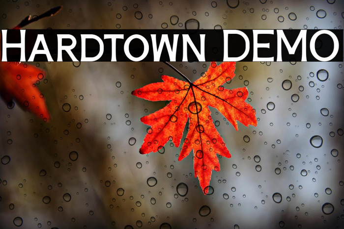 Hardtown DEMO Example 1