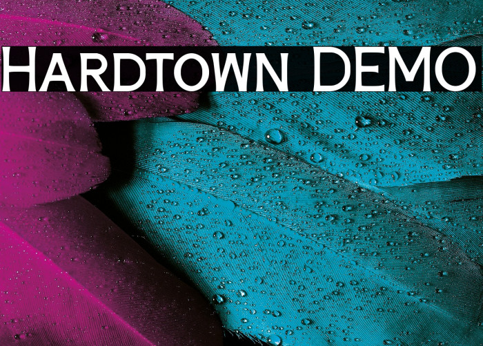 Hardtown DEMO Example 3