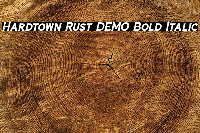 Hardtown Rust DEMO Bold Italic Example 3
