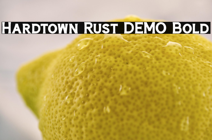 Hardtown Rust DEMO Bold Example 3