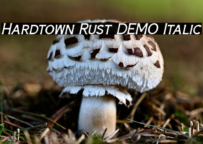Hardtown Rust DEMO Italic Example 2
