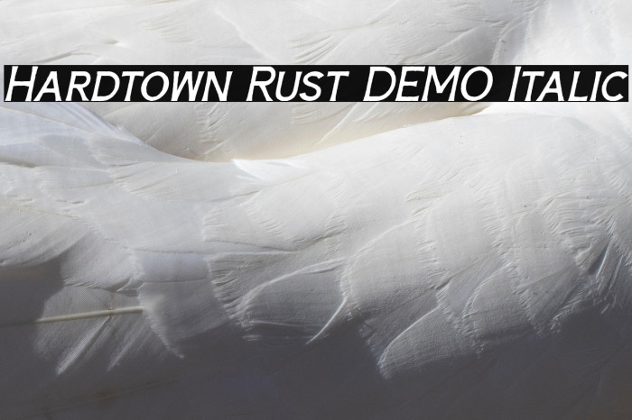 Hardtown Rust DEMO Italic Example 3