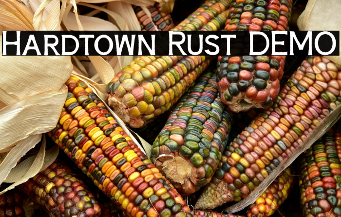 Hardtown Rust DEMO Example 3