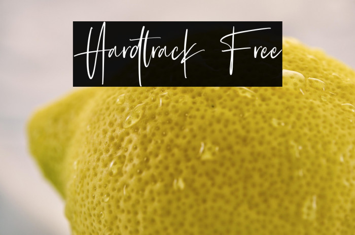 Hardtrack Free Example 1