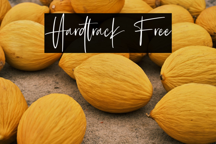 Hardtrack Free Example 3