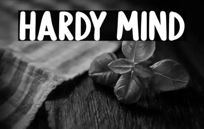 Hardy Mind Font examples