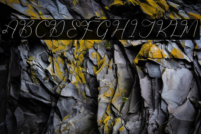 Hardyela Sandert Example 1