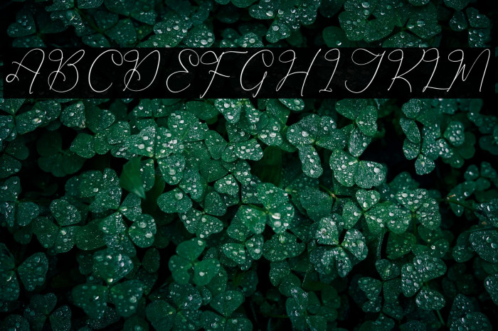 Hardyela Sandert Example 3