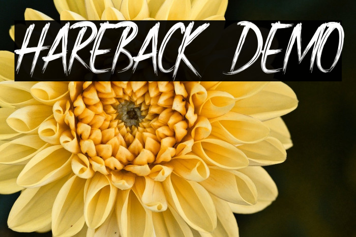 Hareback Demo Example 3