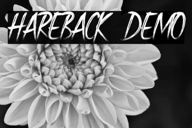 Hareback Demo Font examples