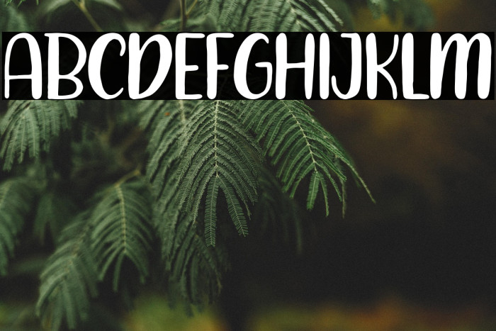 HarelsonCraftRegular Example 1