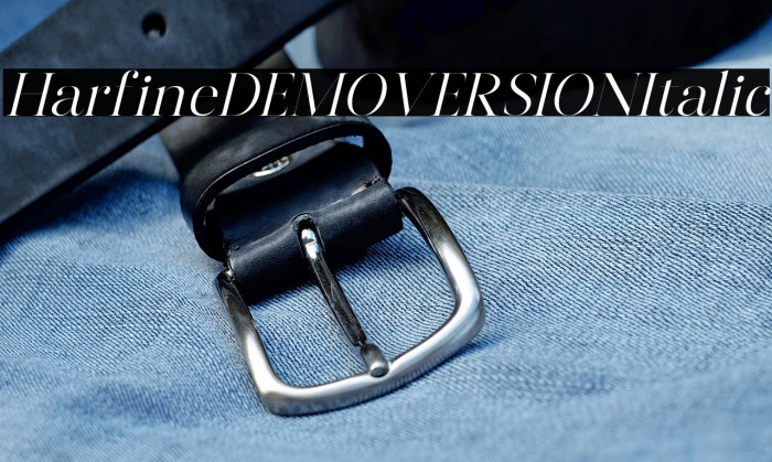 Harfine DEMO VERSION Italic Example 2