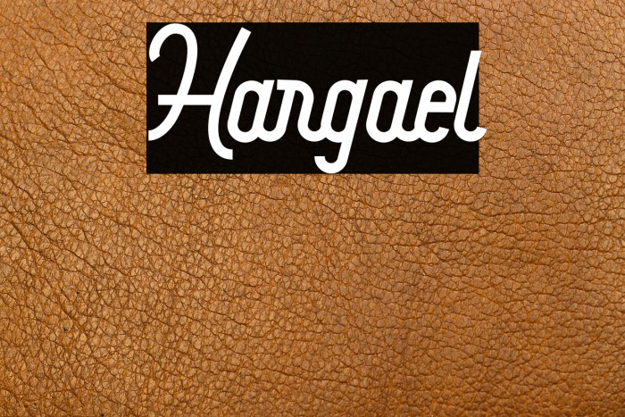 Hargael Example 2