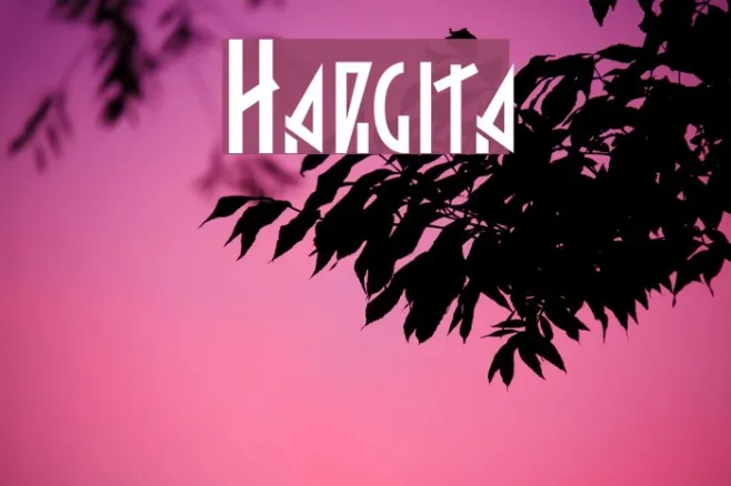 Hargita Example 1