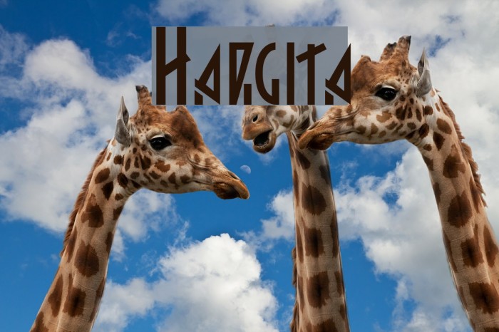 Hargita Font examples