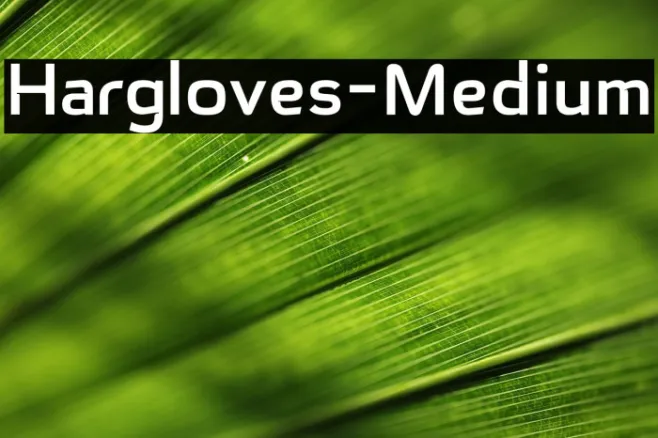 Hargloves-Medium Example 1