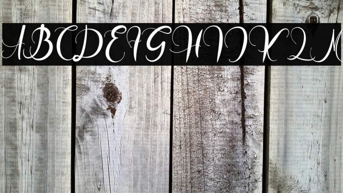 HargreyMollyFREE Example 2