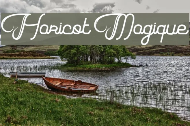 Haricot Magique Example 1
