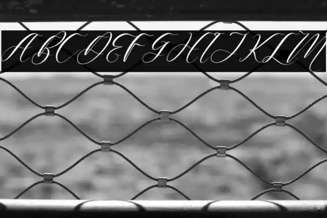 Harietta Bulmer Italic Font examples