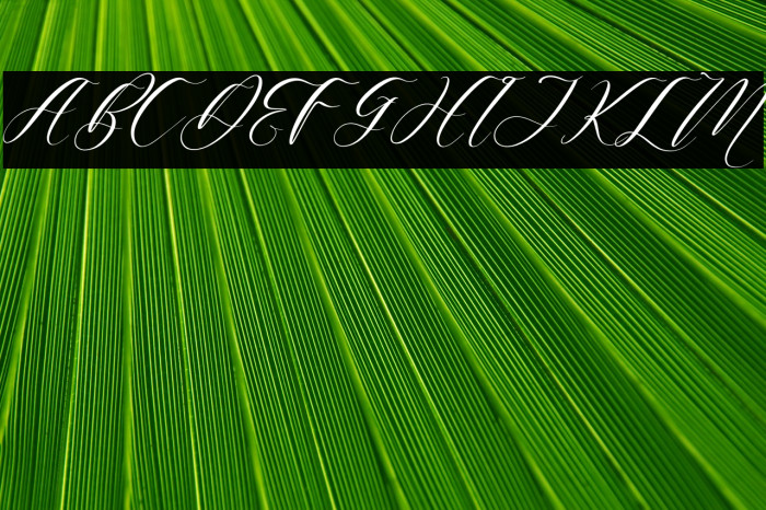 Harietta Bulmer Italic Example 2