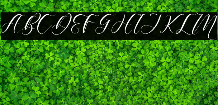 Harietta Bulmer Example 1