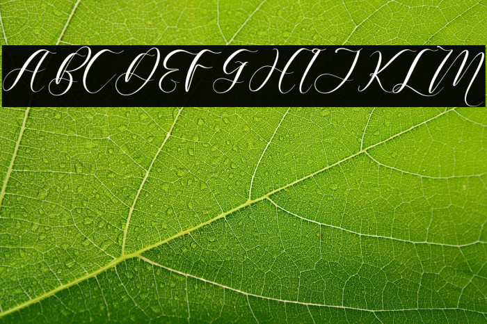 Harietta Bulmer Example 2