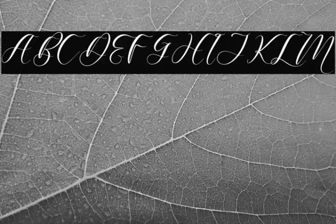 Harietta Bulmer Font examples