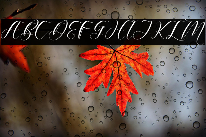 Harietta Bulmer Example 3