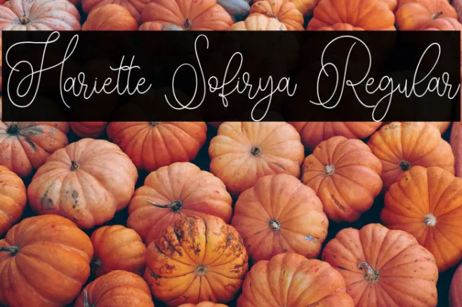 Hariette Sofirya Regular Example 2