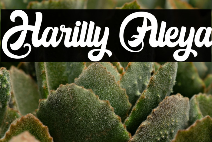 Harilly Aleya Example 2