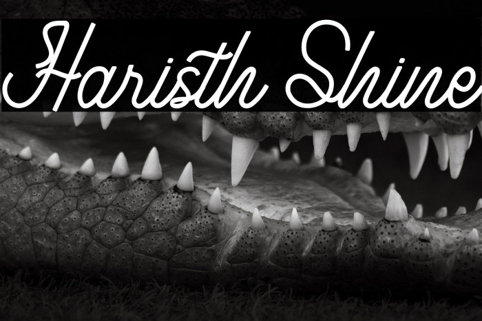 Haristh Shine Example 1