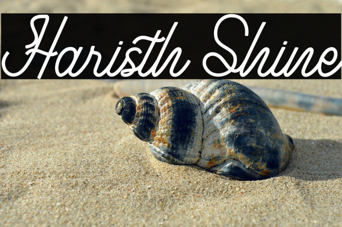 Haristh Shine Example 3